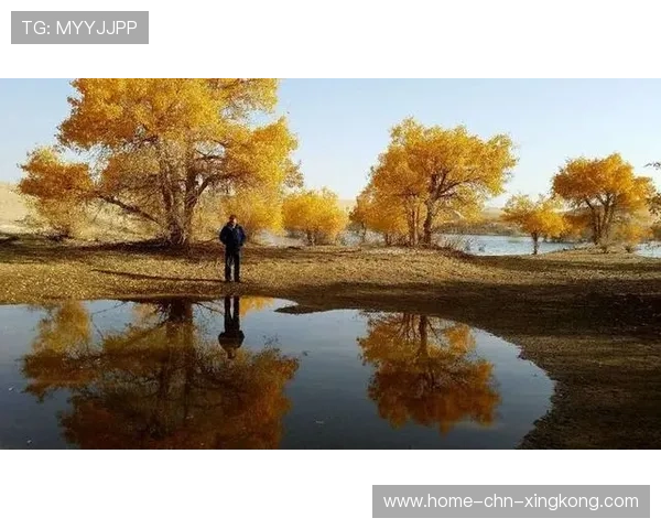 逆境中奋战，赢得尊重！，逆境中奋起作文